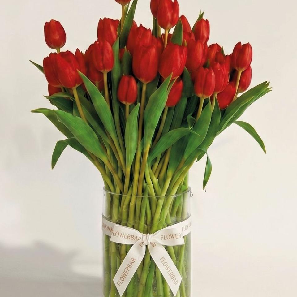 VELVET 25 TULIPAS