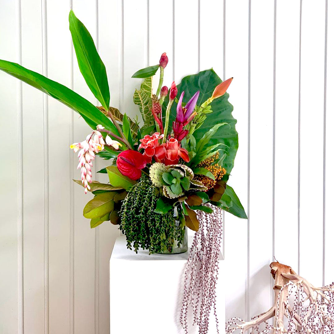 Floresta Tropical