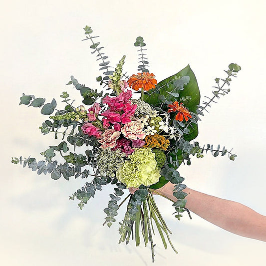 Estado Solar