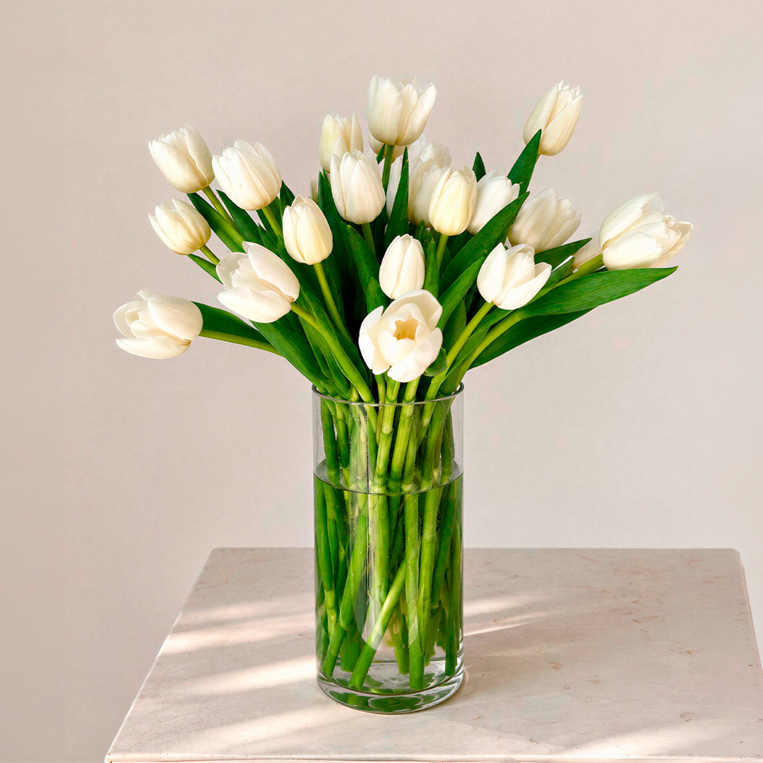 AVA 25 TULIPAS