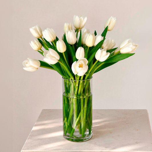 AVA 25 TULIPAS